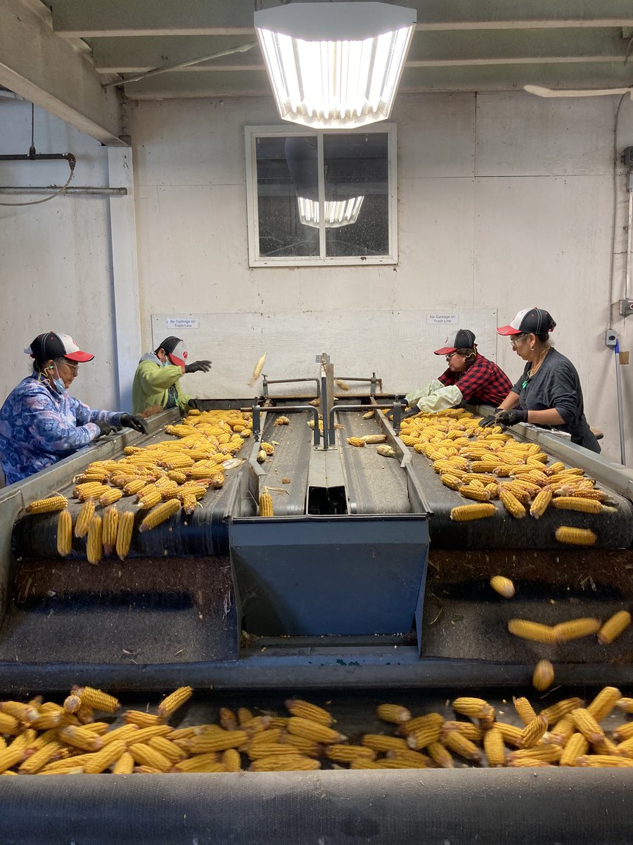 Taylor Brophy tweet media