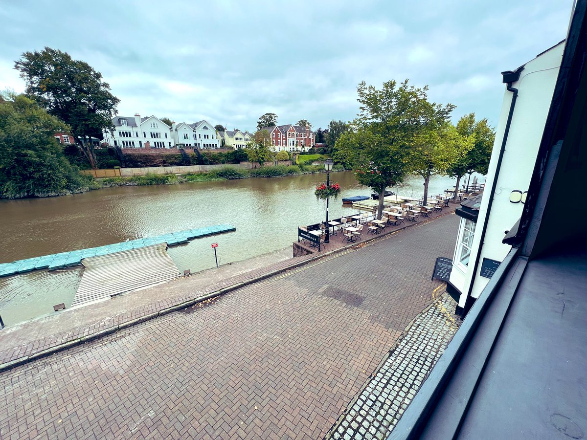 Mr Green tweet media