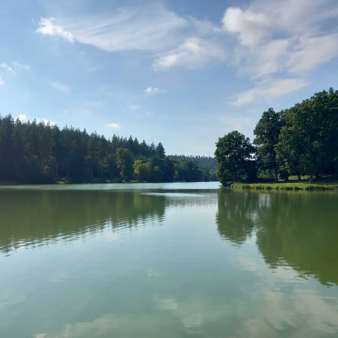 lazyperfection's tweet photo. Shearwater Lake #walking #exercise #lunchtimestroll #wiltshire #longleat #lake #water #cranbournechase #lovewhereyoulive #outdoors https://t.co/yLbSq2KHso