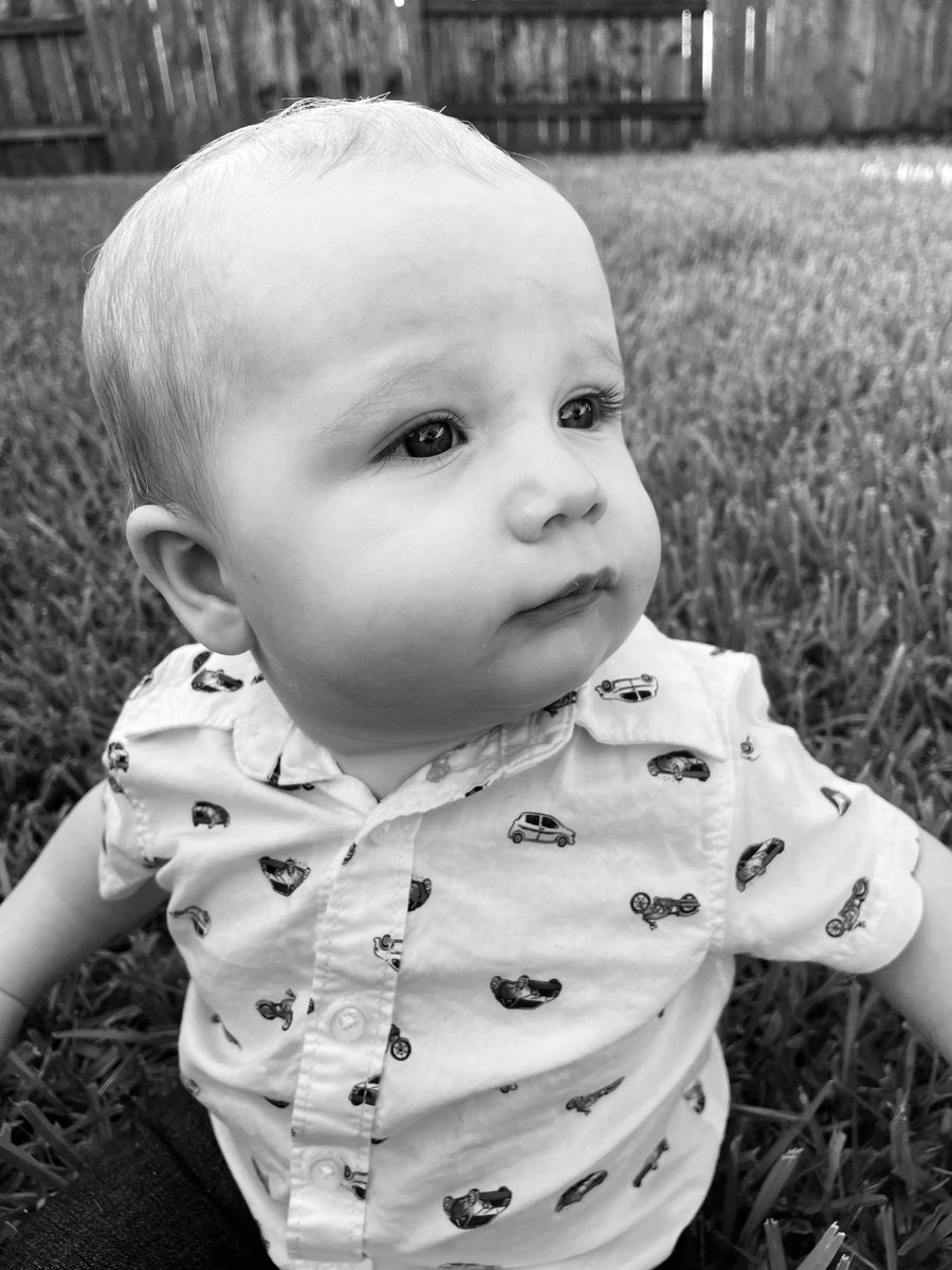TeachLoveToday's tweet photo. 8 months of loving you, sweet boy. 🤍 https://t.co/LWgXaKYZQe