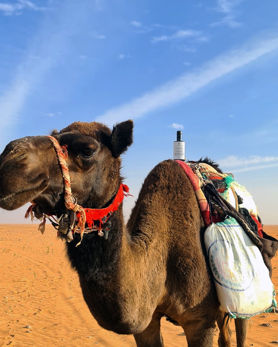 hypereleon's tweet image. 🌿HYPERELEON

 Essential to 💪surviving in harsh conditions!

#hypereleon #hard #conditions #desert #camel #evoo #oliveoil #polyphenols #survive #nutrition