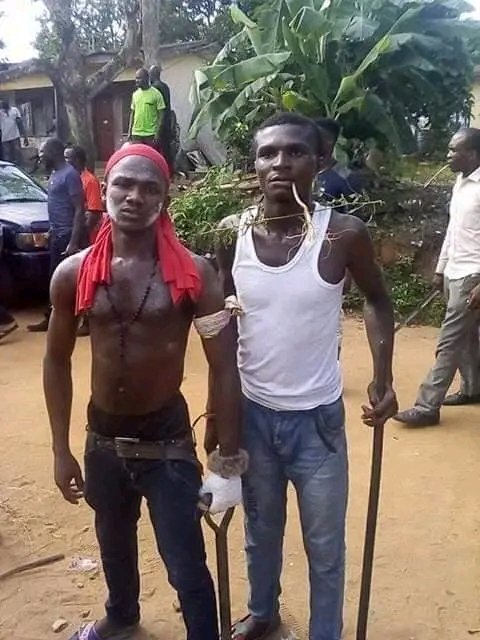 GREATBIAFRAVIP's tweet photo. Don't Pass Without Saying #_RIP to All Those Biafra 's Who lost their LIVES when Nigeria Army Invaded Nnamdi Kanu's Compound on this Day 14 sept 2022.
We pray & Remember All those whom lost their LIVES Defending Biafran"s , may their souls Rest In perfect peace🙏 https://t.co/Gu7dT2Wukk