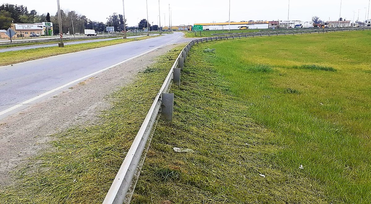 CarinaLambrecht's tweet photo. 🚜Trabajos de mantenimiento de rotonda de acceso a #Necochea en #RN228
🦺Corte de pastos manual y con tractor
#Conservación
#PrimeroLaGente
#VialidadNacional90Años
@gtrankels https://t.co/yDcqh0AlJ3