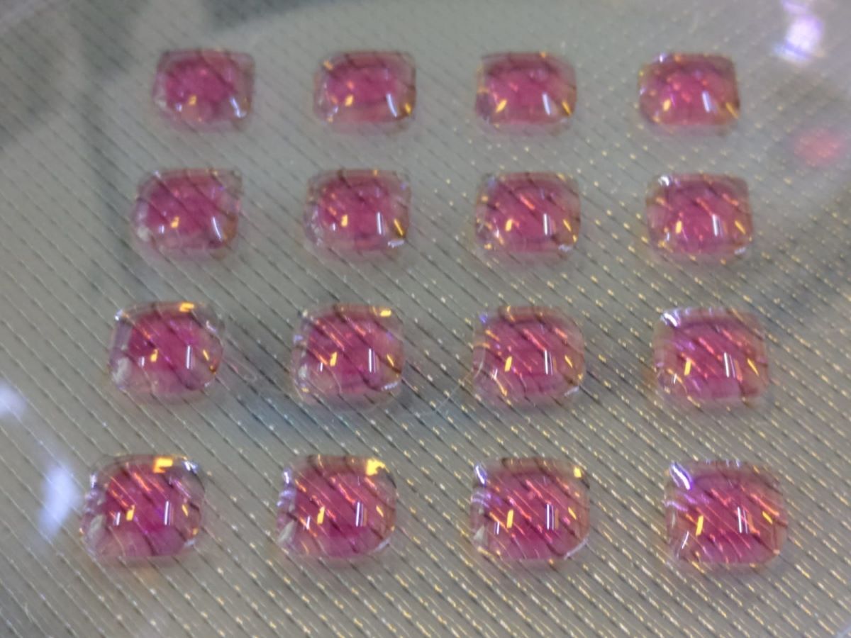WeAreBrinter's tweet photo. PN Update: Brinter® compiles multi-part Guide to Bioprinting https://t.co/MoGdQcmCQG #Brinter #3DPrinting #3DTech https://t.co/HRvpNXkJRl