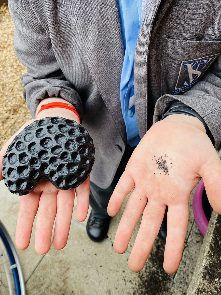 @RHSSchools Grow Wild have been reinforcing the @charlesdowding multi-sowing technique - a really simple way for VI gardeners to sow seeds. They’ve also used a 3D printed poppy seed for tactile feedback @SensoryTrust | @davidstvin @miss_e_StVin @DrJohnAPatters1 @The_RHS 🪴