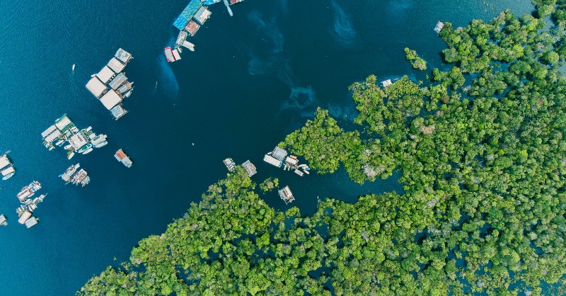 UNFCCC's tweet photo. 🌴 1.4 billion acres of forest
🦜 10% of the world’s species

The Amazon is one of the most remarkable places on 🌎

In our #ClimateAction blog, we explain how a project by the Green Climate Fund (@theGCF) is helping to protect it from climate impacts that threaten its existence.