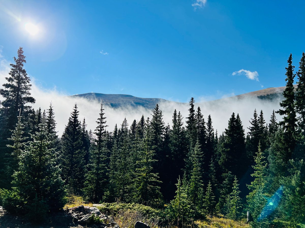 Linda B. Baughn tweet media