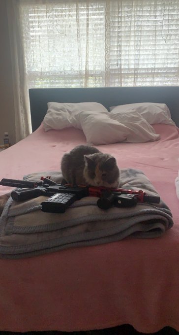 My kitty don&rsquo;t play bout hers🥶 https://t.co/l4wD0WeztI<a href="/tag/photography"class="tags"><span>#photography</span></a><a href="/tag/latina"class="tags"><span>#latina</span></a><a href="/tag/explore"class="tags"><span>#explore</span></a><a href="/tag/tryst"class="tags"><span>#tryst</span></a><a href="/tag/orlando"class="tags"><span>#orlando</span></a>