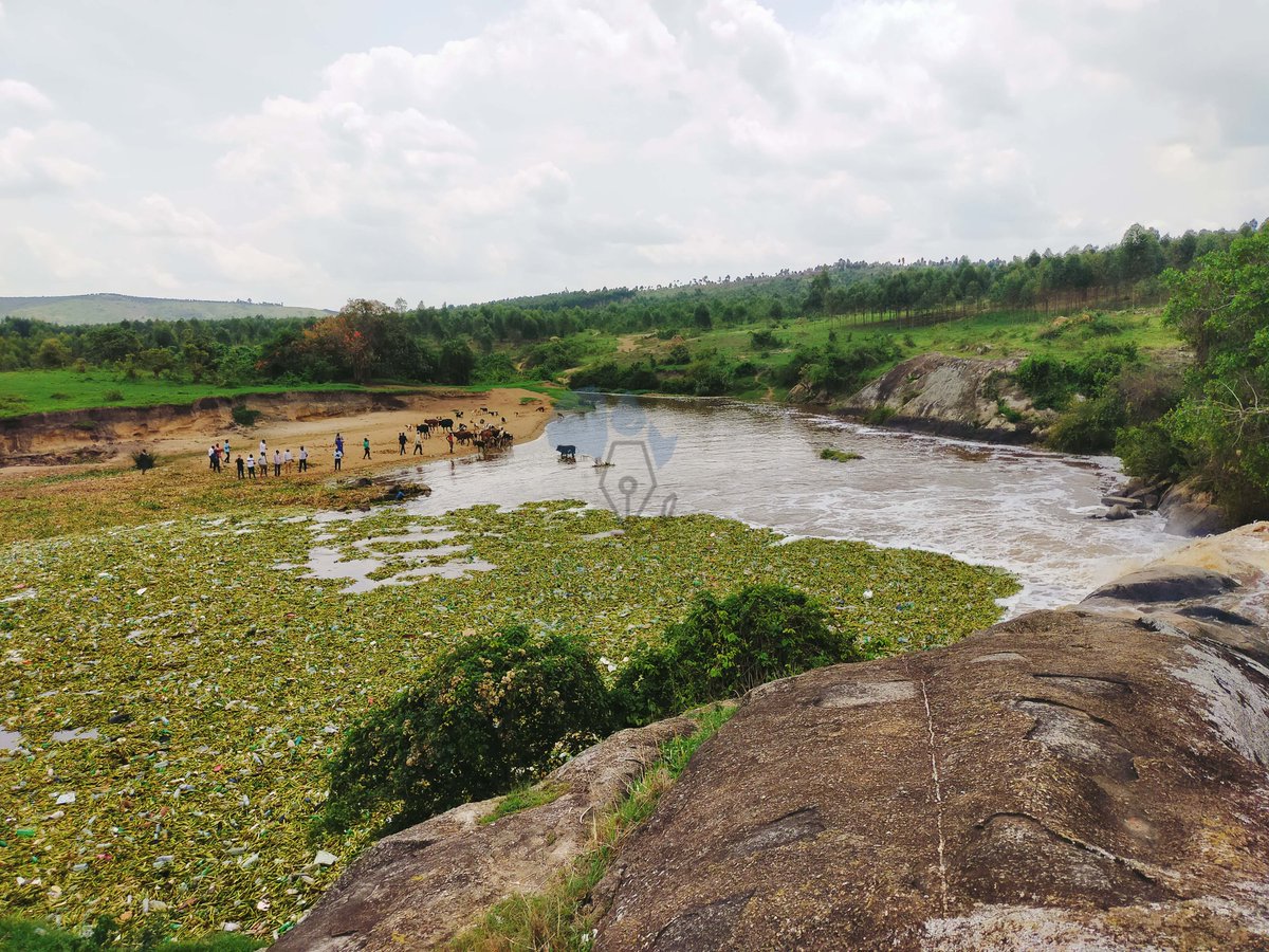 PaleWaterUg's tweet photo. Journalists undergoing training on reporting about water pollution organized by Water Journalists Africa have visited River Rwizi in Mbarara, Uganda. River Rwizi is one of the water bodies in the country heavily polluted by plastic waste.

📷@AdellaMbabazi

#PaleWater https://t.co/9y1rv91kOz