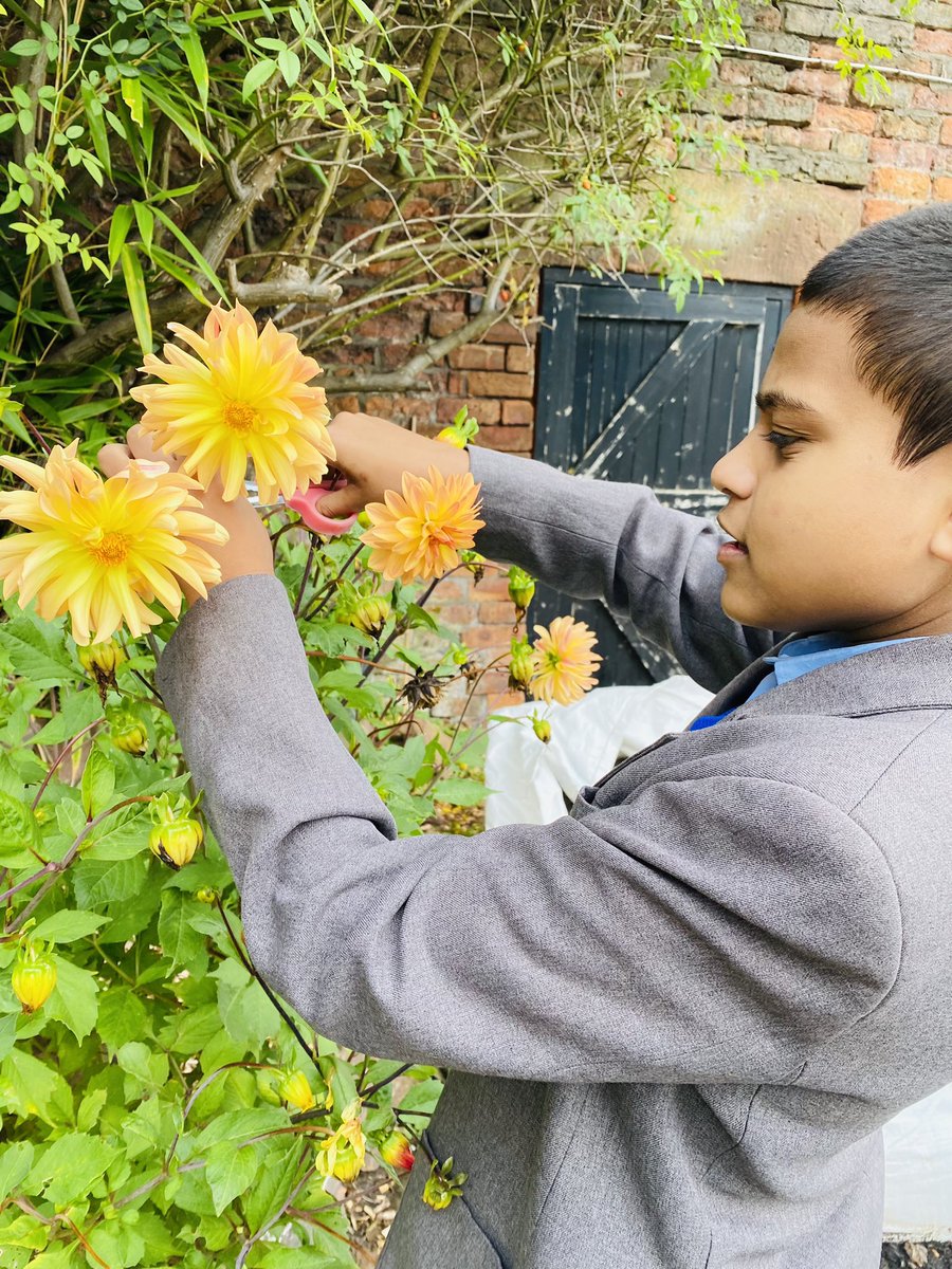 St. Vincent's School tweet media