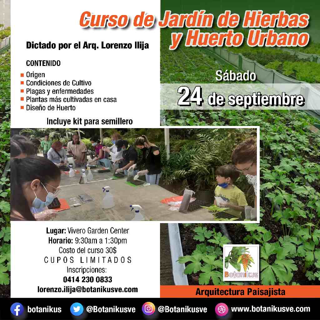 expodato's tweet image. CURSO JARDÍN DE HIERBAS Y HUERTO URBANO Incluye kit para semillero 
taxonomía, morfología, tipos, métodos 
Dictado por el Arquitecto Lorenzo Ilija
* Sábado 24 de septiembre 2022 
* Vivero Garden Center al lado Parque del Este, Caracas
#jardín #cultivo  
@botanikusve