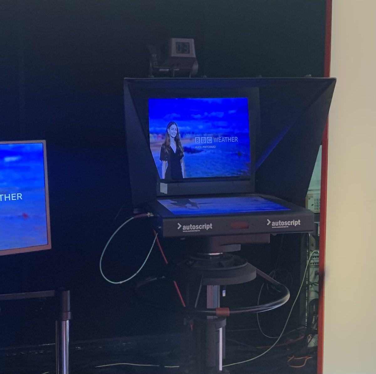 Alice Pritchard tweet media