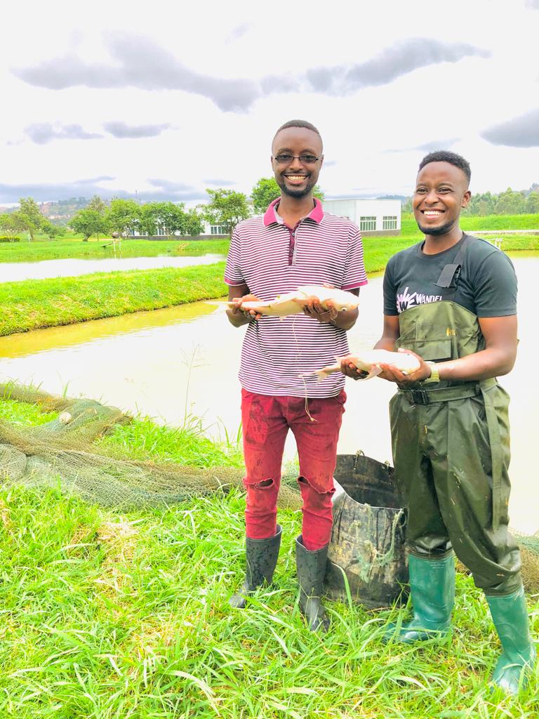 PRACAquatics's tweet photo. Come and discover how to make millions in  fish farming ,Prac Aquatics limited is here to show you how to achieve it
For consultancy and rearing system construction (Pond or cage,etc) services and all Agriculture inputs
Call +256700339000 or
WhatsApp +256701972215 https://t.co/ojlv4fldfs