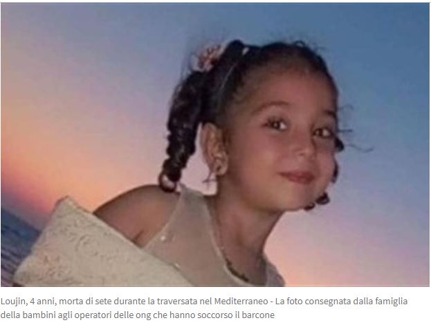 orlando amodeo tweet media