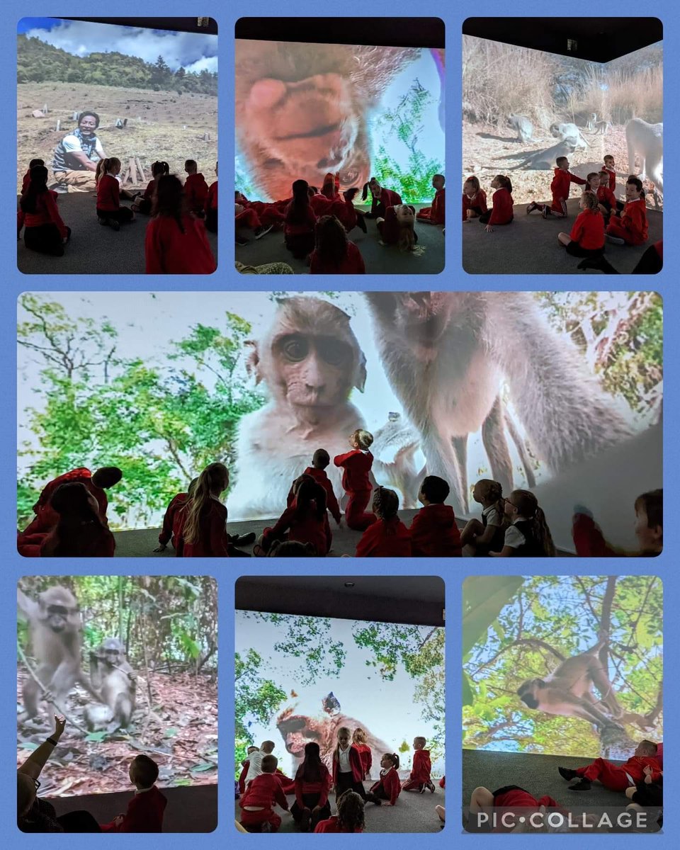 Mrs Rees’s Y2 class from Georgetown Primary have been monkeying around in the Immersive Environment today! 🙈 Their topic this term is “Monkey Magic” - what a great way to immerse themselves for the start of the term. <a href="/georgeprimary/">Georgetown Primary</a>