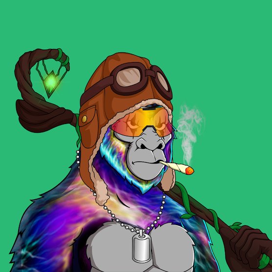 Zoorillas FREE MINT tweet media