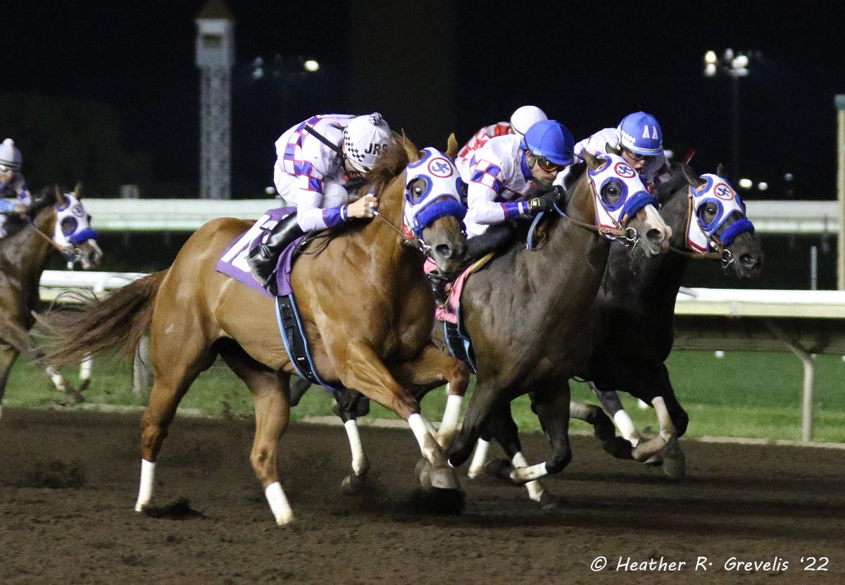 MNQHRA's tweet photo. From the J Olmstead barn~Chloes Magic (3) &amp; A Alvidrez for MN o/b Lunderborg LLC…Relentless Babe (8) &amp; R Eikleberry for o-Tom Maher, bred in MN by M Rigby…And winner of the MN QH Derby~Relentless Courage (10) &amp; J Salazar for o-T Maher &amp; P Luedemann, bred in MN by H Jeanotte https://t.co/11b7vI2ZD8