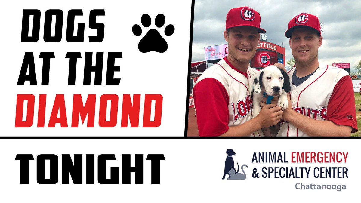 Join your Lookouts for Dogs at the Diamond presented by Animal Emergency & Specialty Center of Chattanooga! Enjoy the game with your best friend. Get here early for our pregame DOG PARADE at 6:45! 7:15 first pitch. Tickets & Details ⬇️ atmilb.com/32wyKU5
