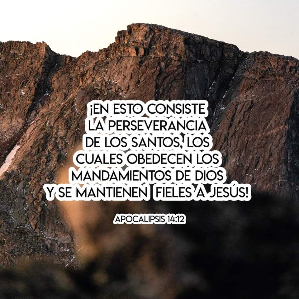 RadioVidaHN's tweet photo. ¡En esto consiste la perseverancia de los santos, los cuales obedecen los mandamientos de Dios y se mantienen fieles a Jesús! Apocalipsis 14:12📖 

#versiculodevida 
#vidafm #conactitudpositiva 

106.5///94.7 📻 https://t.co/6T2xvjWr9C