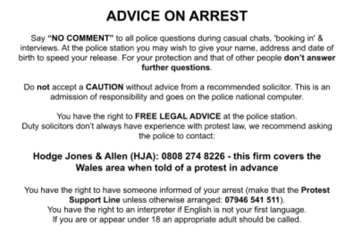 WelshUGN's tweet photo. If you're planning on being there this Friday, keep an eye out for us - stay safe, and look after eachother. 

This fight is a united one✊. 

Alt text to follow in thead as character limit reached. https://t.co/tkrqHaz9FN