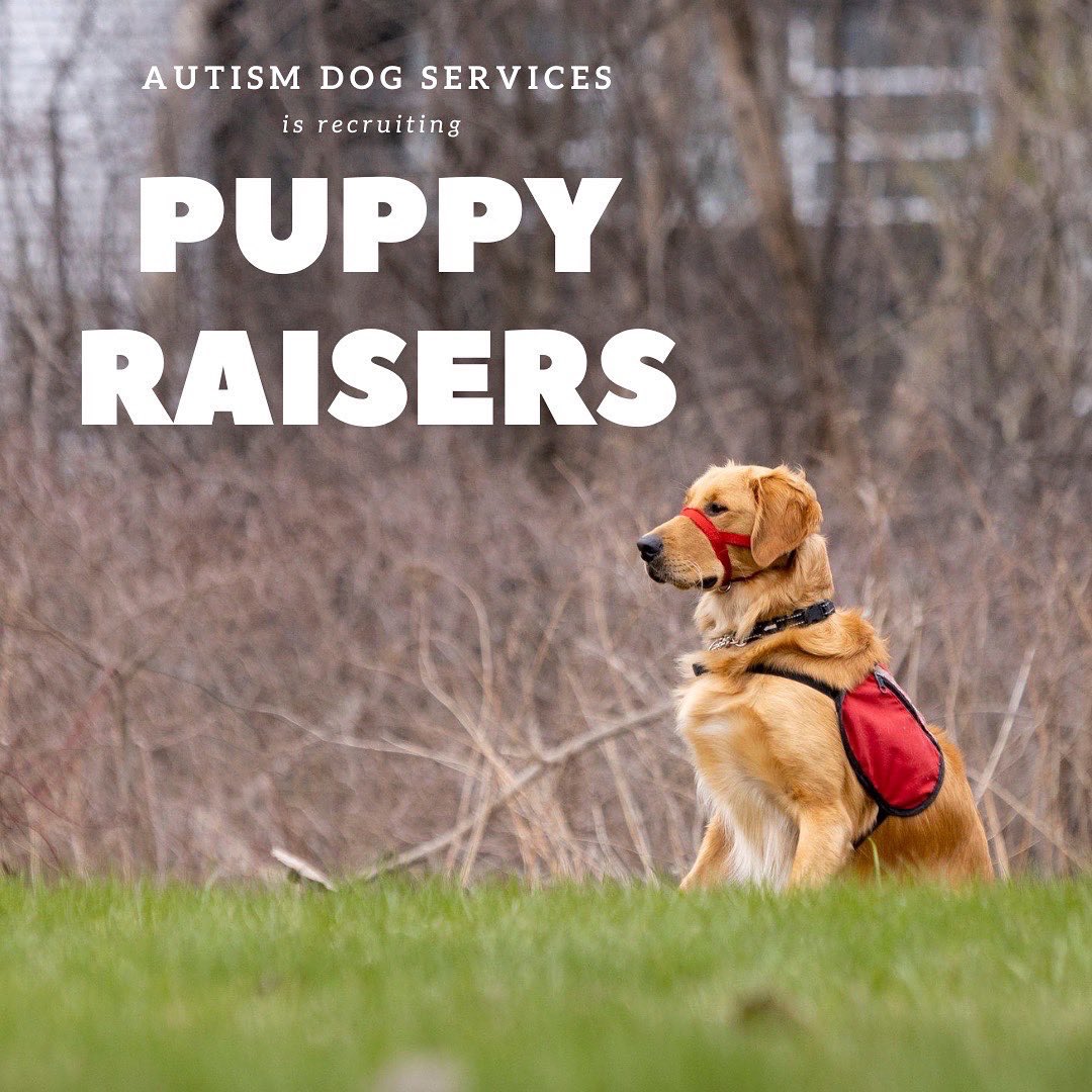 Autism Dog Services tweet media