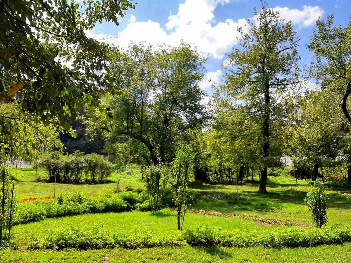 albanzogaj's tweet photo. Ju falënderoj për punën e mirë që po bëni! Na duhen më shumë ekipe të tilla, që ta mbajmë qytetin të pastër! 

🌳🌳🌳🌳🌳

#Prishtina #Parqet #Gjelbert #PR4PR https://t.co/fxrIj0XgXE