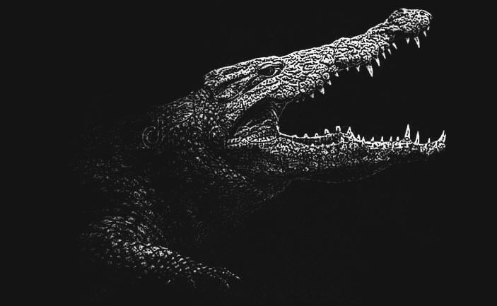 Papa (@mohlakwana91) on Twitter photo 