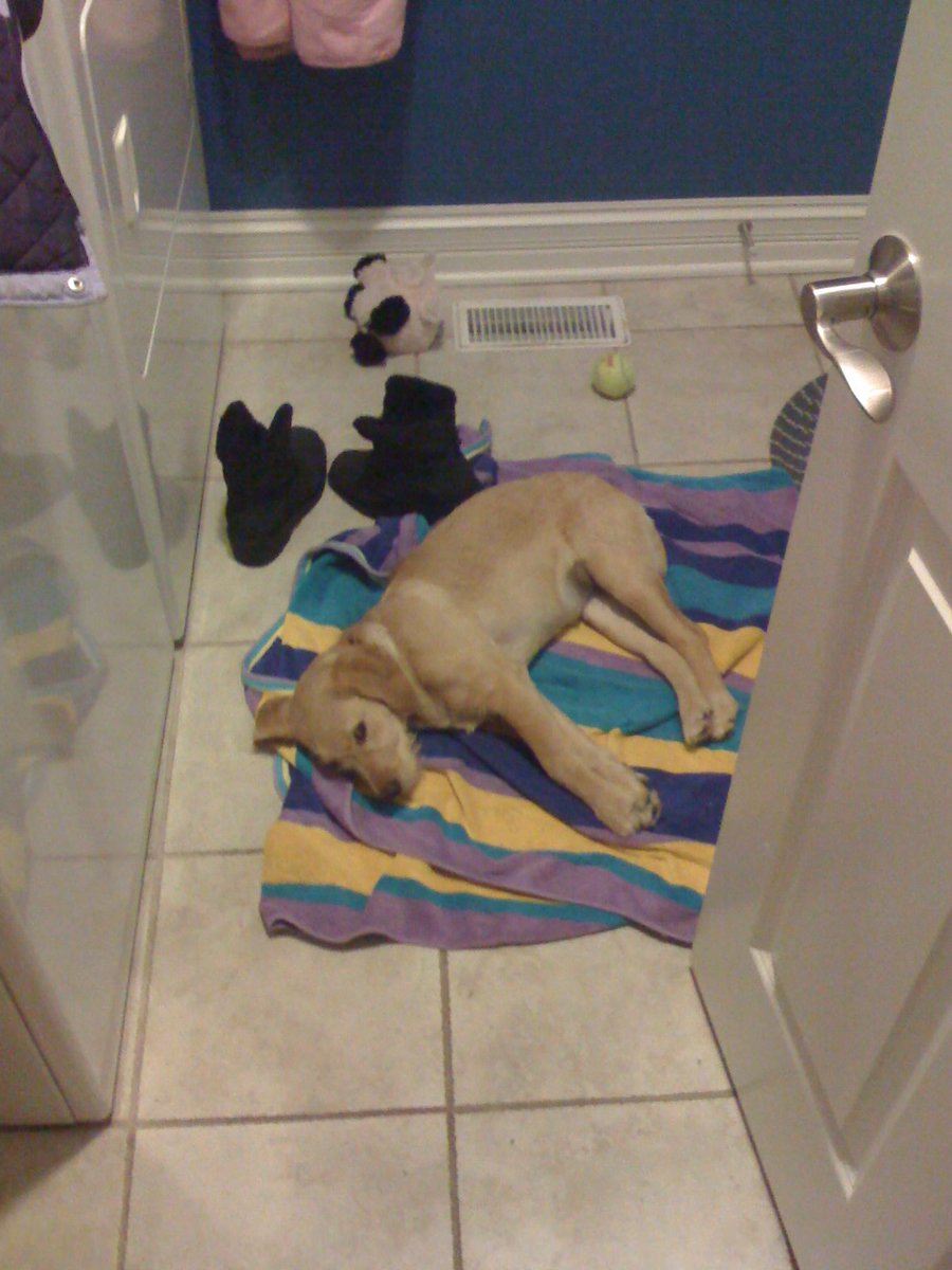 @leonc@layer8.space tweet media