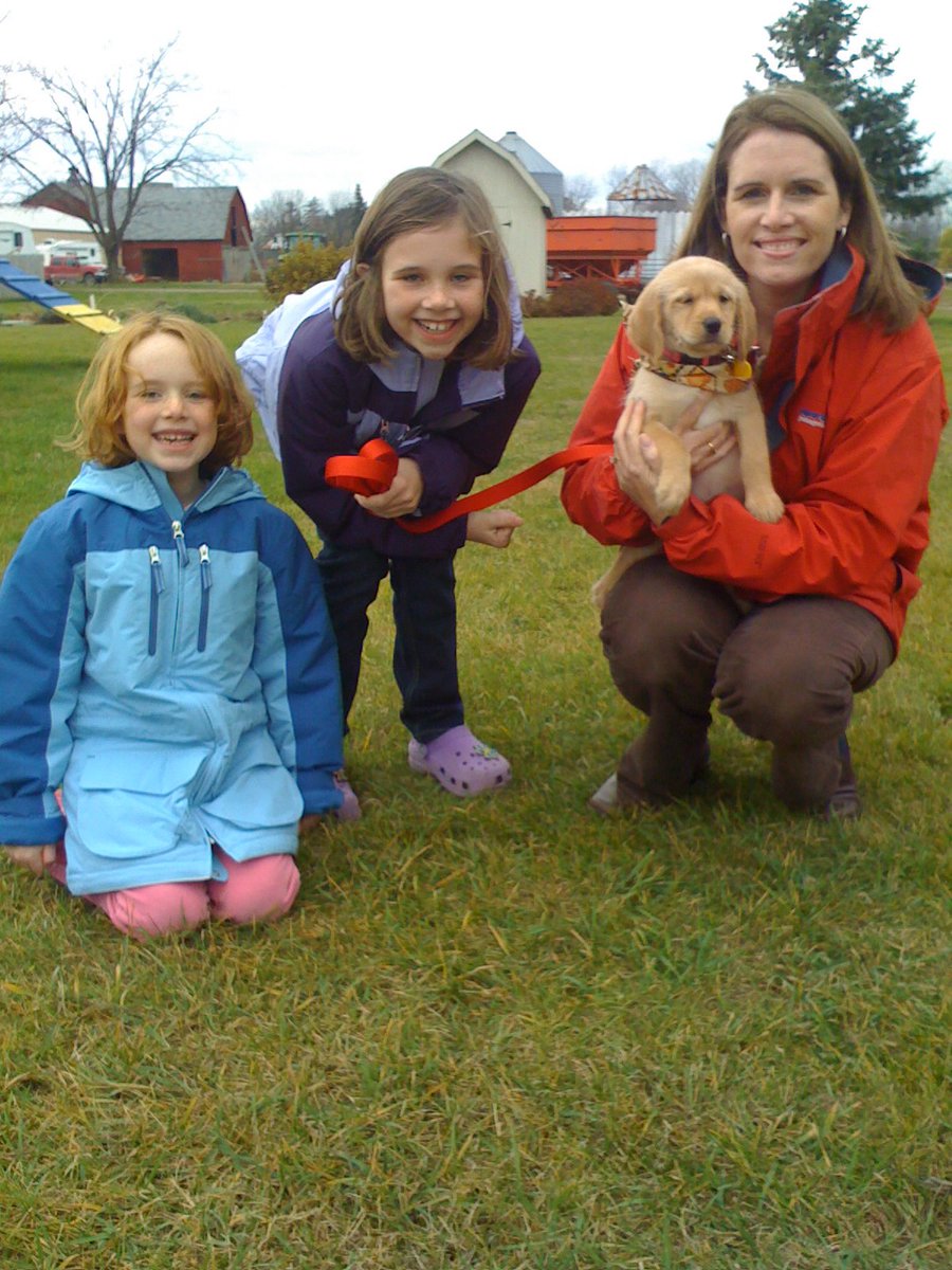 @leonc@layer8.space tweet media