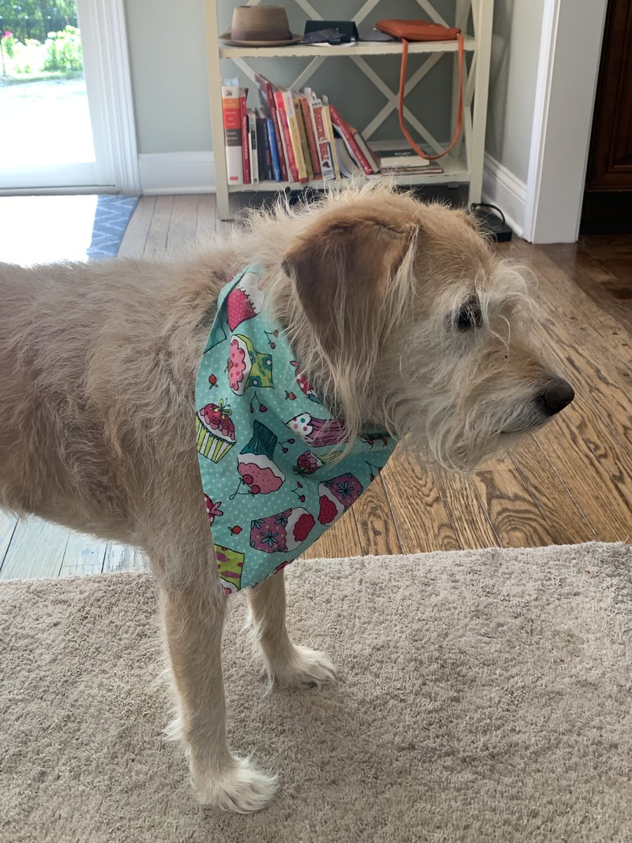 @leonc@layer8.space tweet media