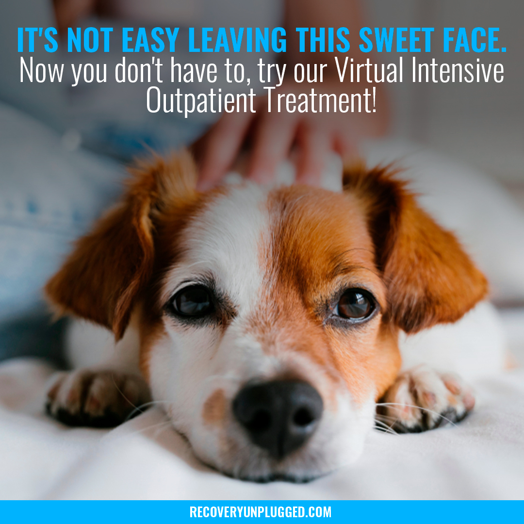 RecoveryUnplugd's tweet photo. Try our Virtual Intensive Outpatient Program so you never have to leave this sweet face! To learn more, call us at 855-206-1108 π
#VirtualIOP #VirtualRehab #GetHelp #EndTheStigma #SubstanceUseDisorder #DrugRehab #AlcoholRehab #RecoveryUnplugged #SobrietyRocks #PetTherapy https://t.co/HUbRJU9aPn