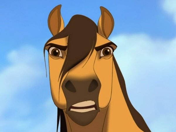 woofmeoww's tweet photo. Horse fengqing au horse fengqing au https://t.co/Et16ABWHjX