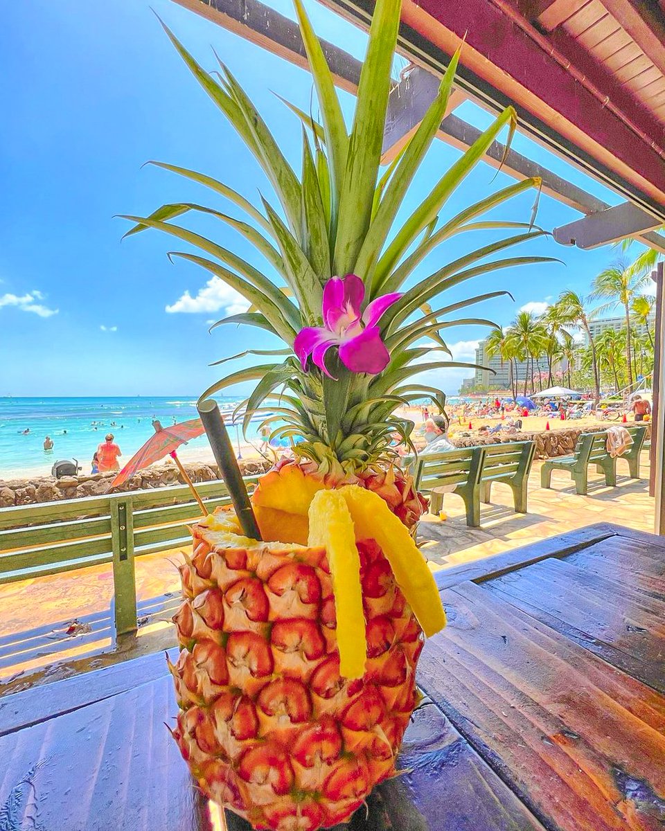 Funjet Vacations tweet media