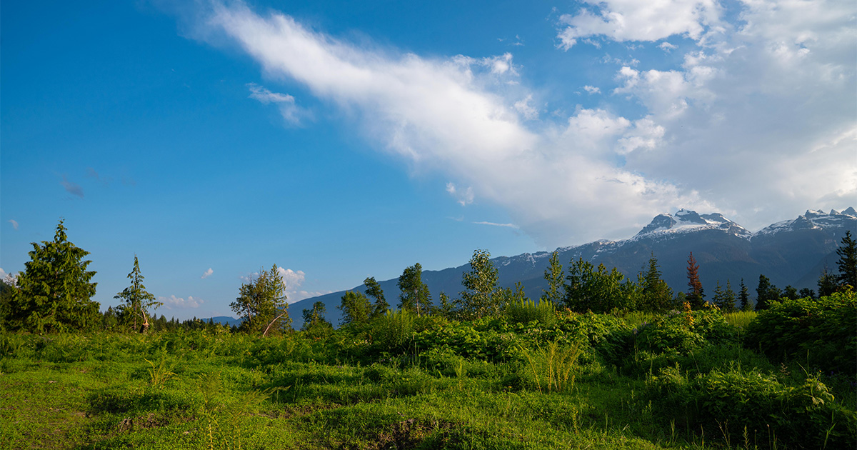 With an incredible site and awe-inspiring views, Cabot Revelstoke will offer a unique mountain golf experience.
⠀⠀⠀⠀⠀⠀⠀⠀⠀
📸: Zoya Lynch
⠀⠀⠀⠀⠀⠀⠀⠀⠀
#cabot #britishcolumbia