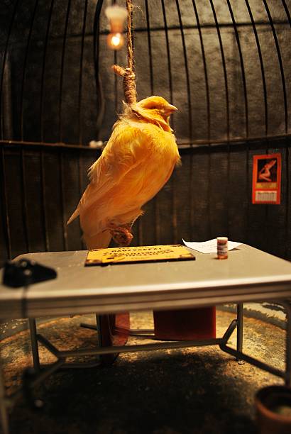 Dan (@roligfyr) on Twitter photo 