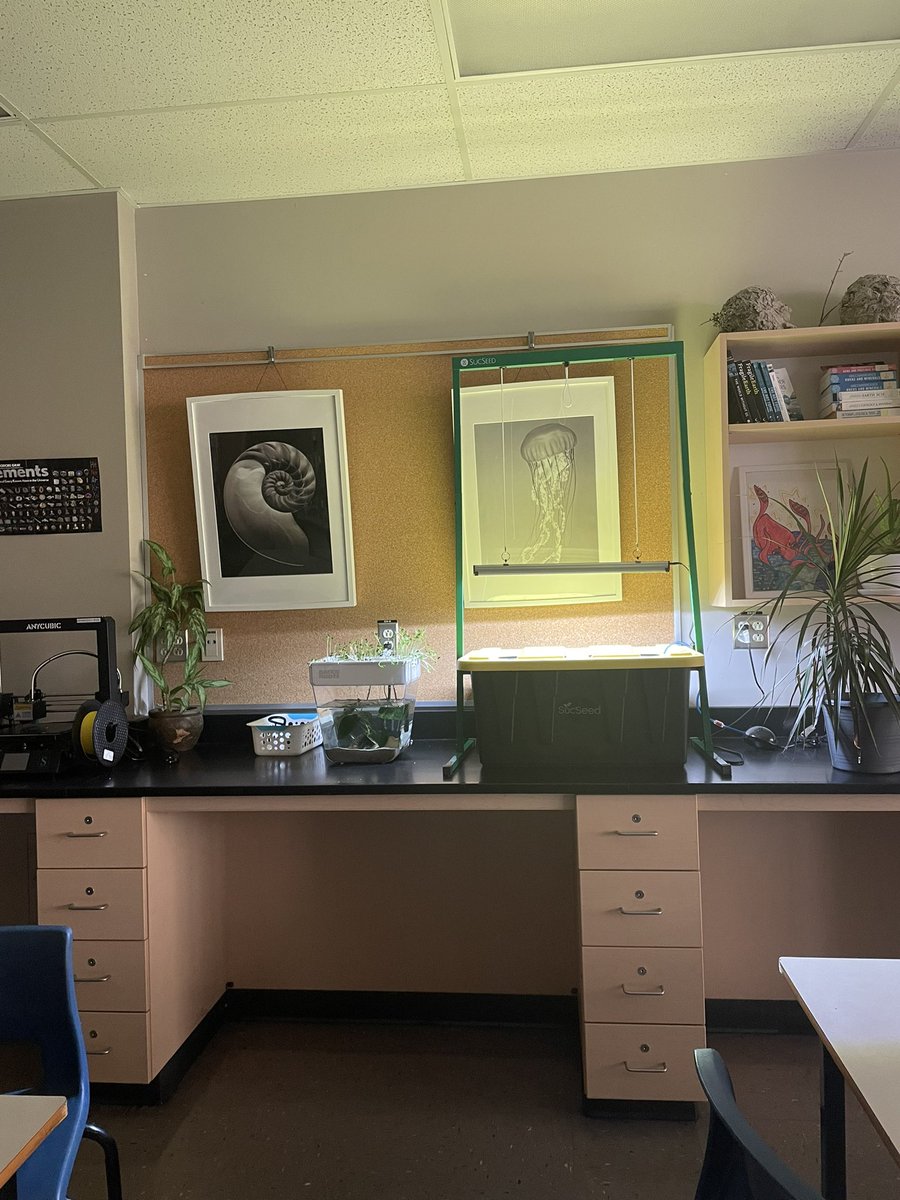 HennesseyMrs's tweet photo. Just finished setting up the hydroponic kit to grow some fruits from seed and bare root to study reproduction in plants! #Science9 @lockviewhigh @HRCE_NS @NSAgriculture https://t.co/DgpKXlsd7g