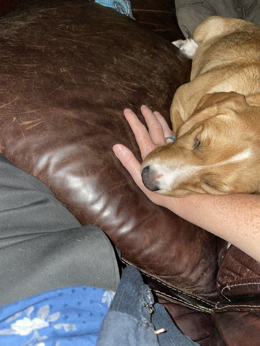 ProfRuthMassey's tweet photo. My hand & and arm have been greatly missed the last two days apparently! #ChunkyTime https://t.co/X9VVUmCUq9