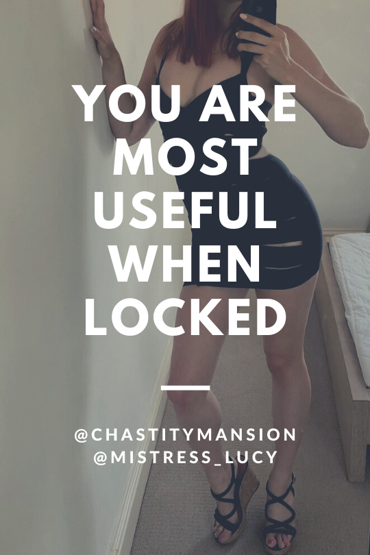 Chastity Mansion On Twitter Beta Males Have Limited Value But Are