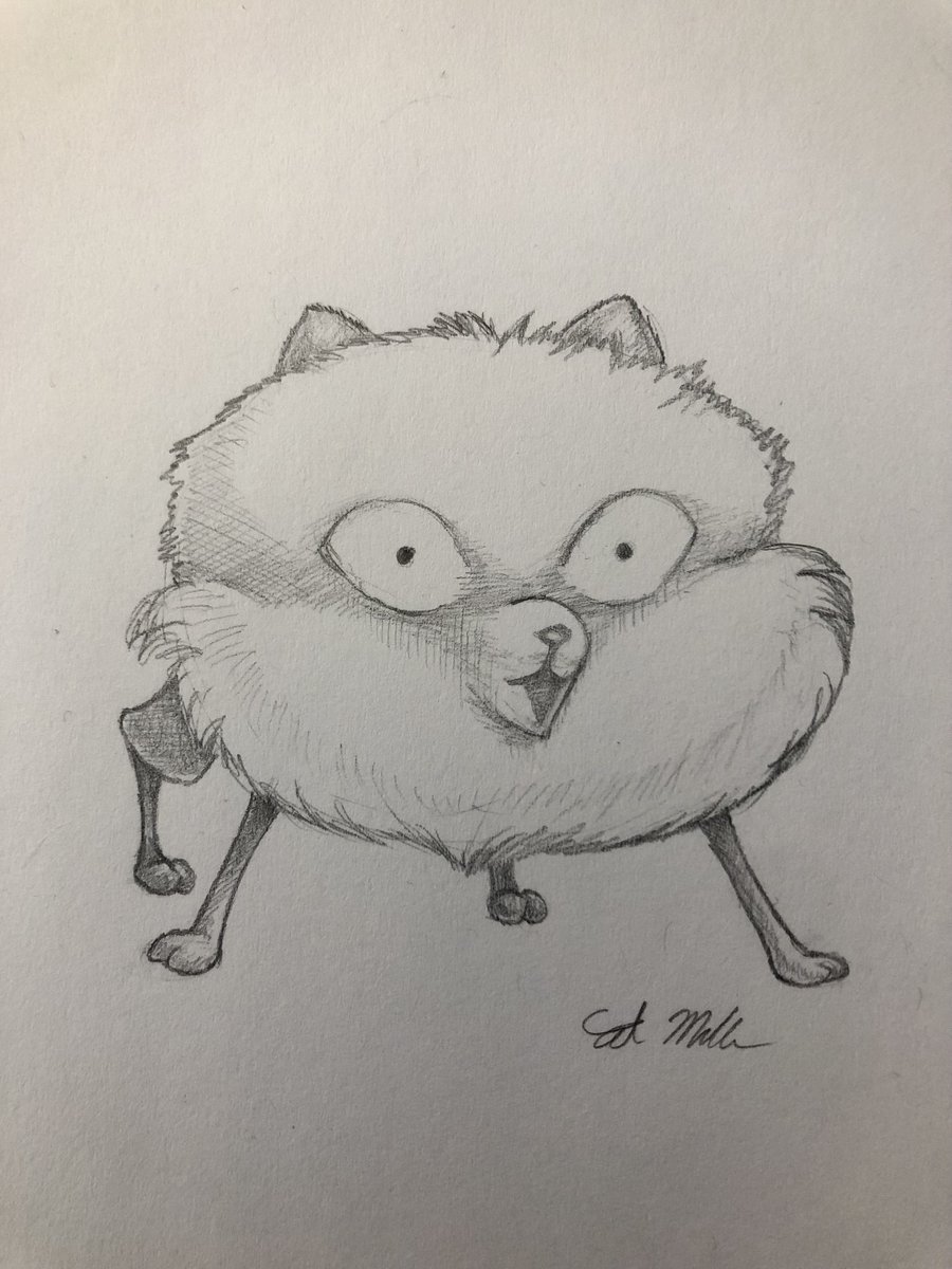 DamunchTheThird's tweet photo. Catching up on #sketchtember these prompts were fluffy and shocked https://t.co/qFt28pgMif