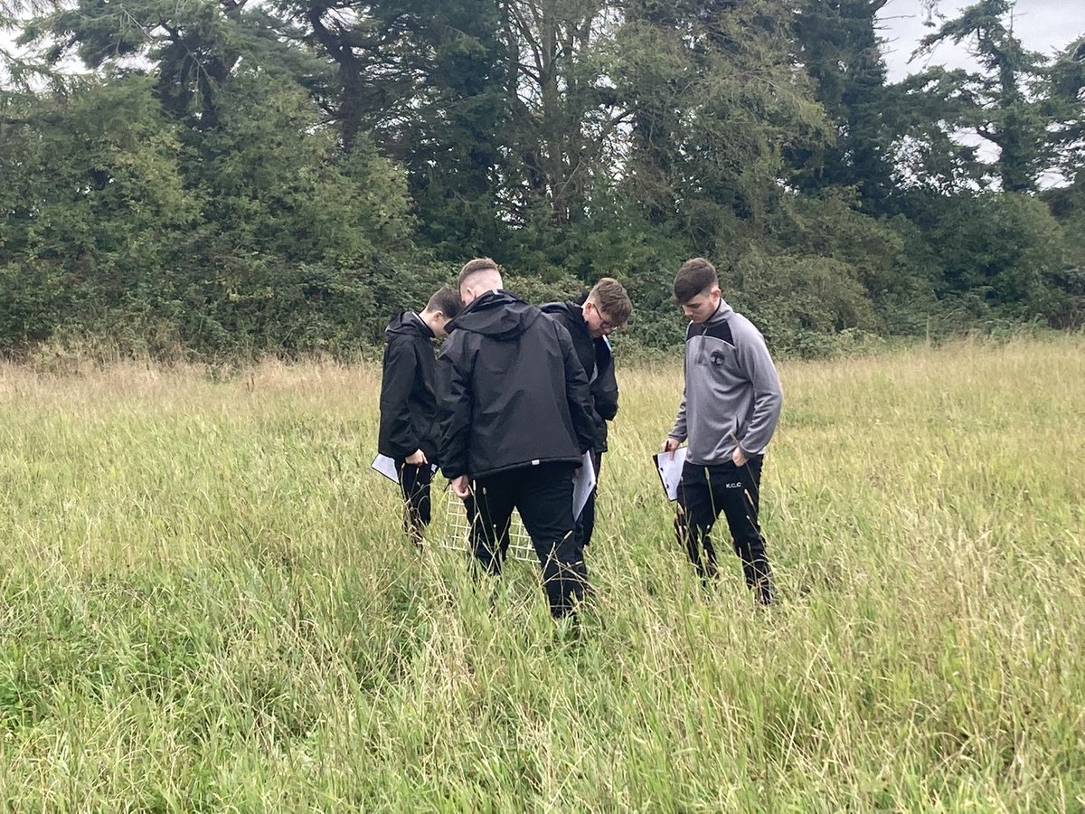 OideCiara's tweet photo. Ecology field work ✅@Kingswoodcc16 @OideTanya @taytopark https://t.co/ofIm47RUVk