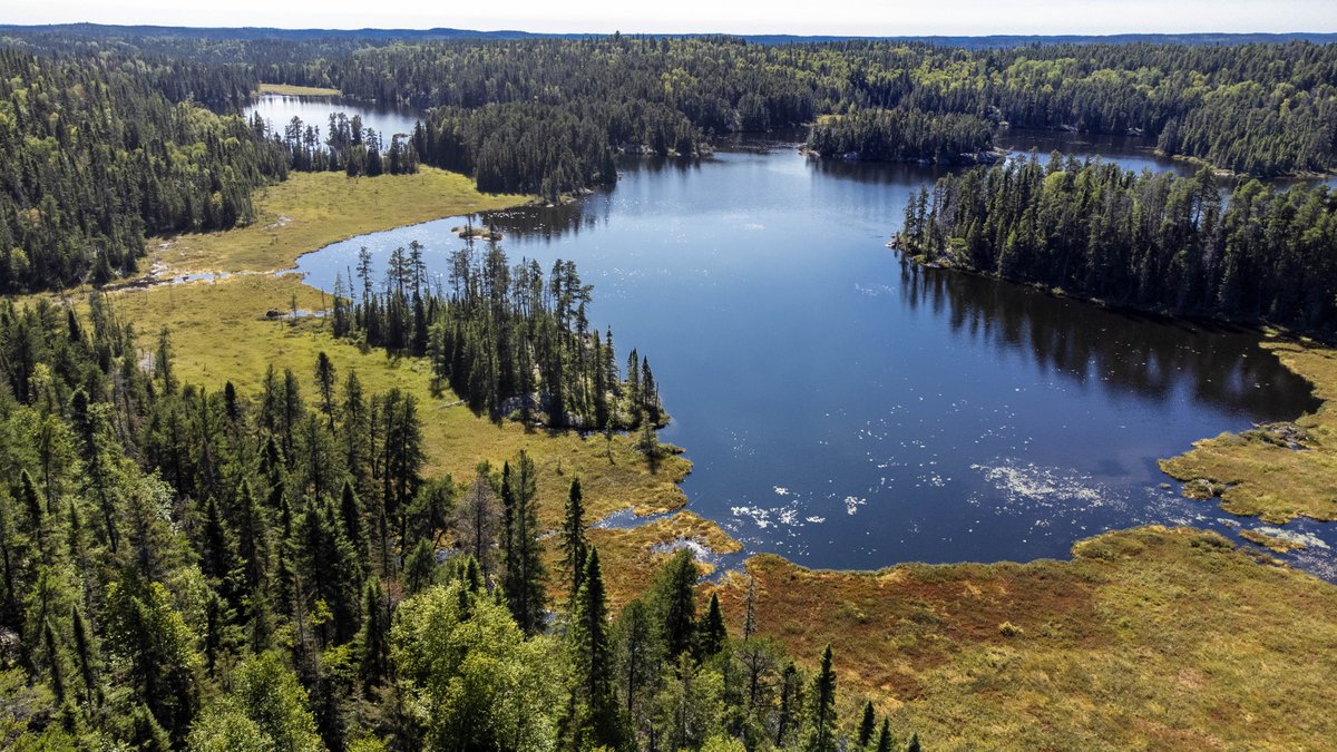 OntarioParksNE tweet picture