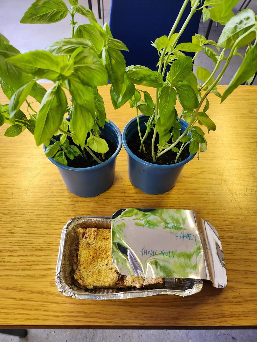 astragardens's tweet photo. A lovely surprise this week from S4 pupil T. Homemade rhubarb crumble made from rhubarb in the garden and 2 basil plants he grew at home #proudteacher https://t.co/2rW61nCvHs