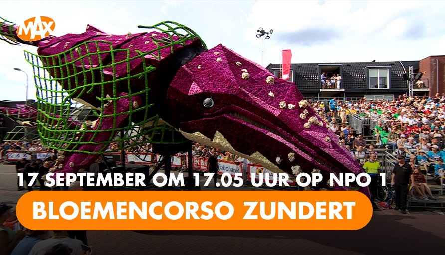 Straks op NPO 1: schitterende praalwagens bij het grootste bloemencorso ter wereld in Zundert. Kijken dus! 🌼💐🌷

📺 Bloemencorso Zundert 2022, om 17.05 uur op NPO 1. 
#Bloemencorso #BloemencorsoZundert #OmroepMAX