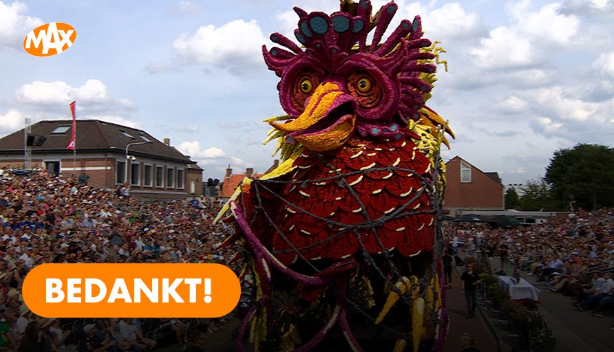 Bedankt voor het kijken! 🌼💐🌷 #Bloemencorso #BloemencorsoZundert #OmroepMAX