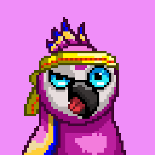 Pumping Parrots - SOLD OUT tweet media