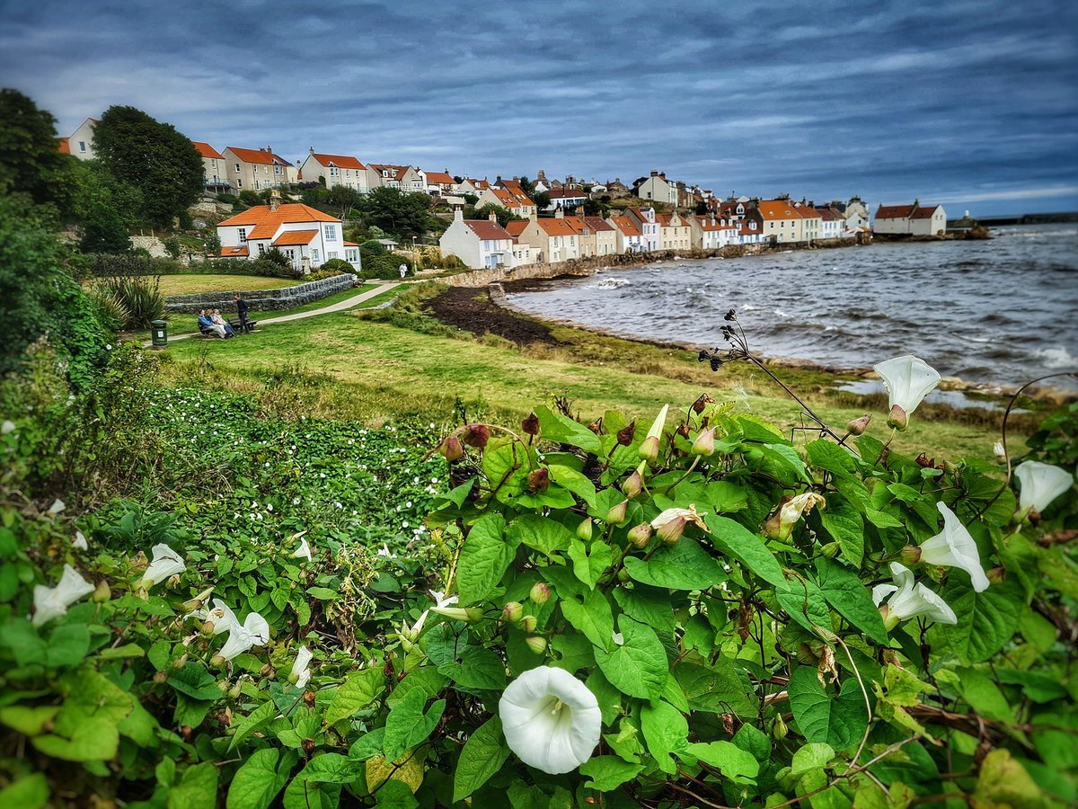 Old houses in Pittenweem fishing village, highly recommended for a visit. @ScotsMagazine
@VisitScotland @VisitFife #standrews #fife #fifecoastalpath #scotlandisnow #scotland #pittenweem #conservation #history #eastneukoffife