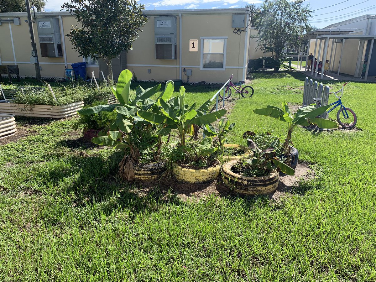 GardenMort's tweet photo. #GardenGnomies @MortElementary enriched their souls while they enriched the soil at the first club…watch us grow! 🌱 🥕 🌻@JMGKids #BEFOREAFTERCHALLENGE #BACKTOSCHOOL #SCHOOLGARDEN https://t.co/ntresUjMzL
