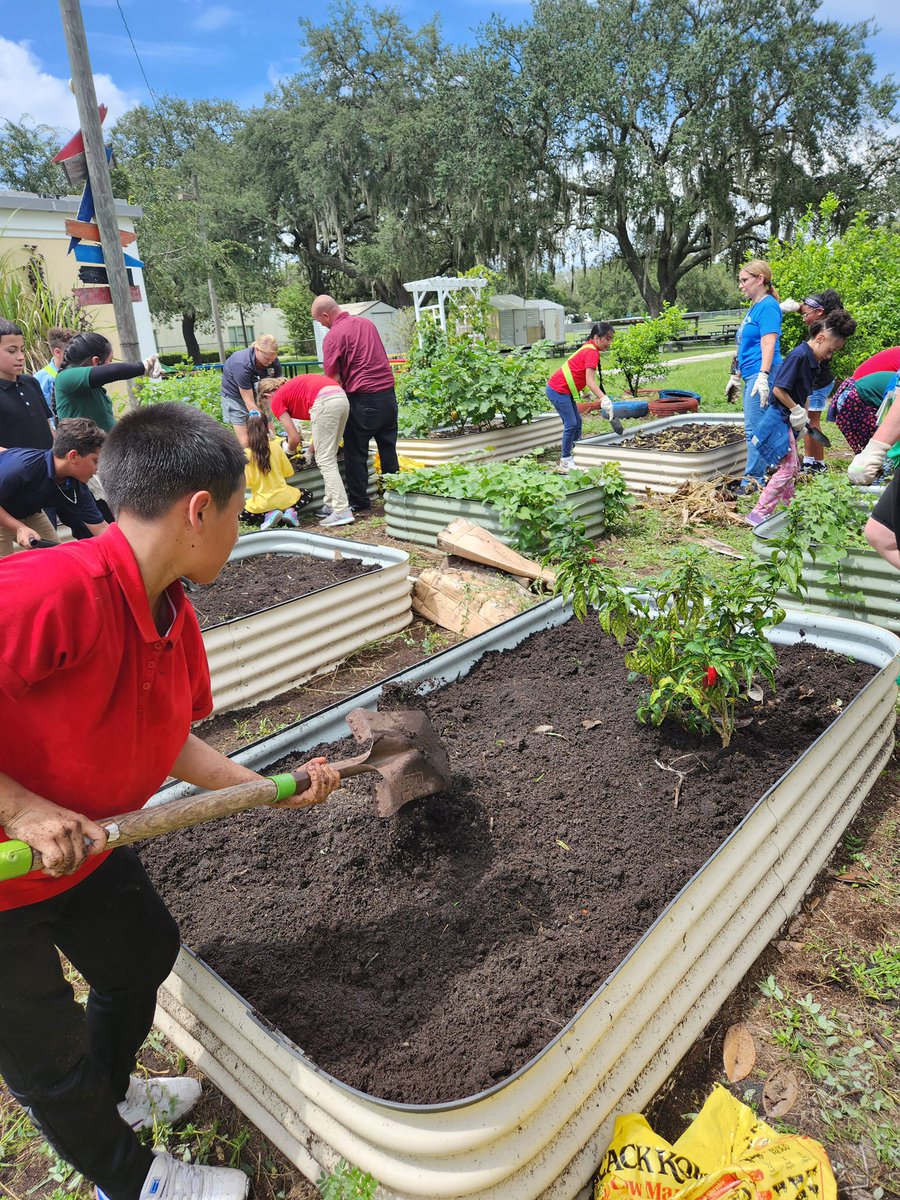 GardenMort's tweet photo. #GardenGnomies @MortElementary enriched their souls while they enriched the soil at the first club…watch us grow! 🌱 🥕 🌻@JMGKids #BEFOREAFTERCHALLENGE #BACKTOSCHOOL #SCHOOLGARDEN https://t.co/ntresUjMzL