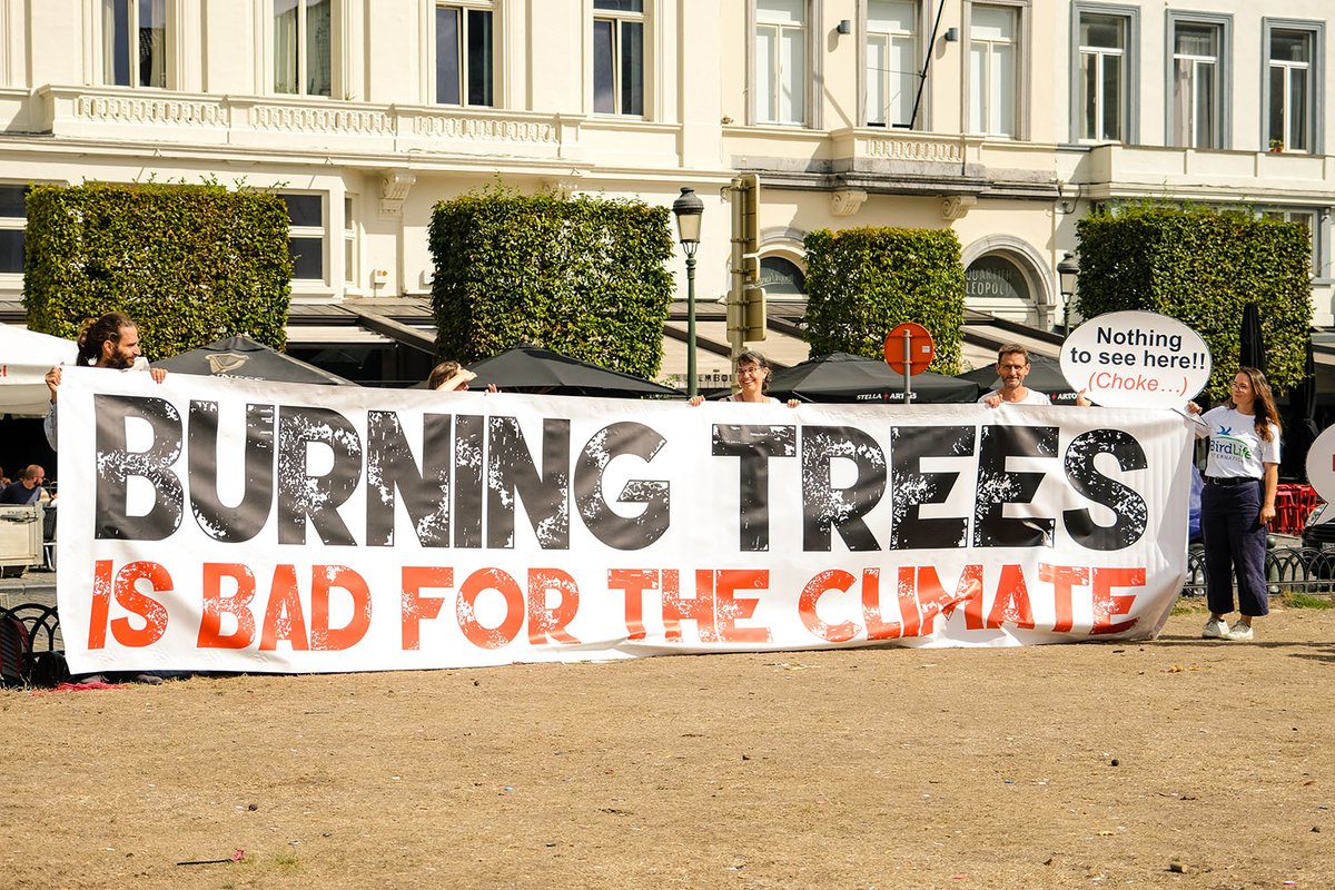 With today’s vote, the EU parliament has drawn a line in the sand. We now need to massively accelerate action to go to cleaner sources of energy that make climate, human health and forests better, not worse. 
Full Statement>>> us.eia.org/blog/20220914-…
