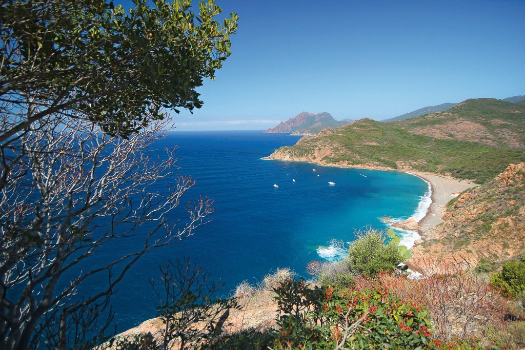 Our September picks of the month are ready - Read about them on our blog: bit.ly/36jAcWu